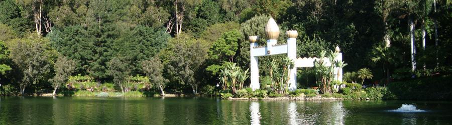 Self Realization Fellowship Self Realization Fellowship